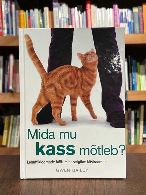 Mida mu kass mõtleb