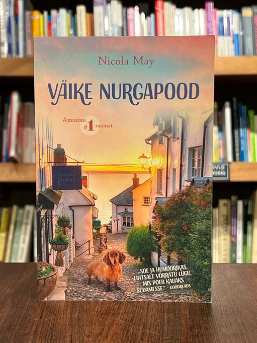 Väike nurgapood