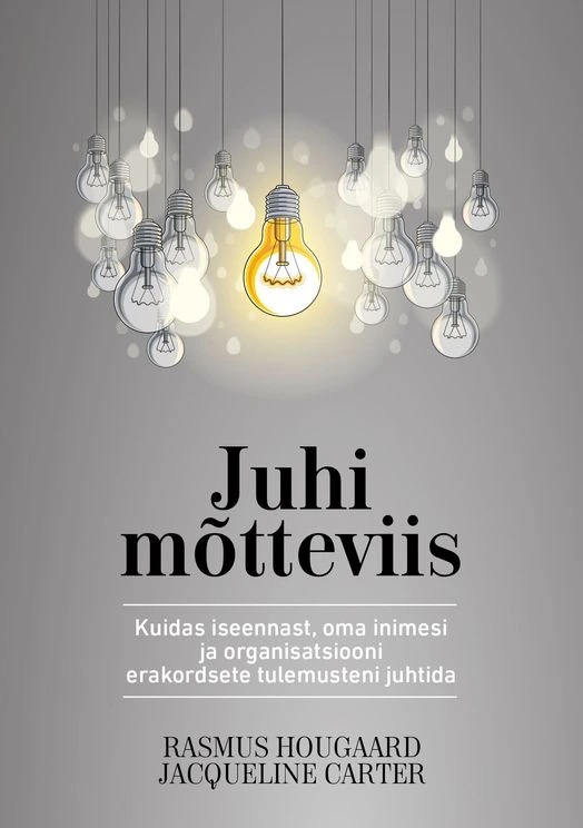 Juhi mõtteviis