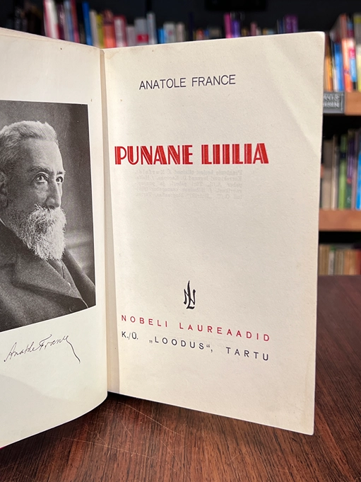 Punane liilia