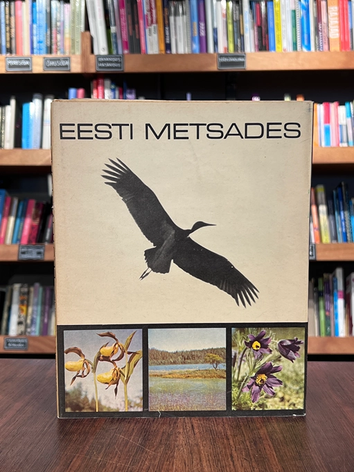 Eesti metsades