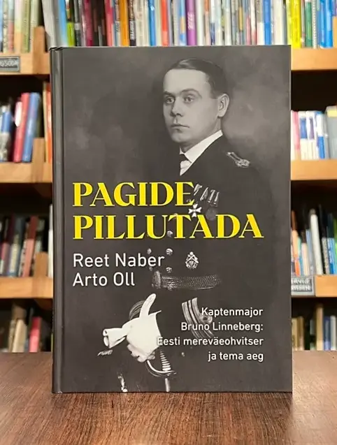 Pagide pillutada