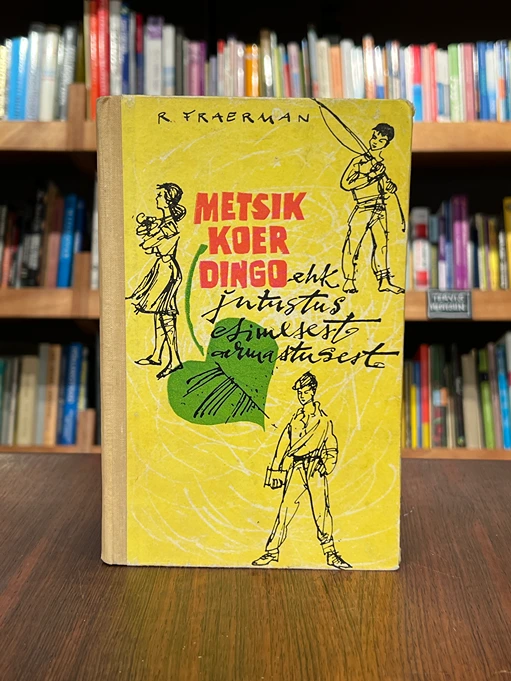 Metsik koer Dingo