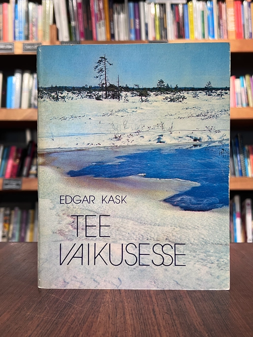 Tee vaikusesse