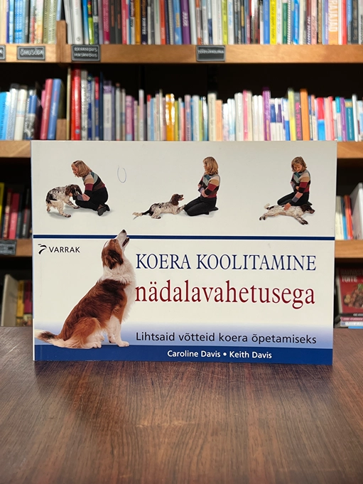 Koera koolitamine nädalavahetusega