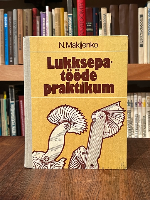 Lukksepatööde praktikum